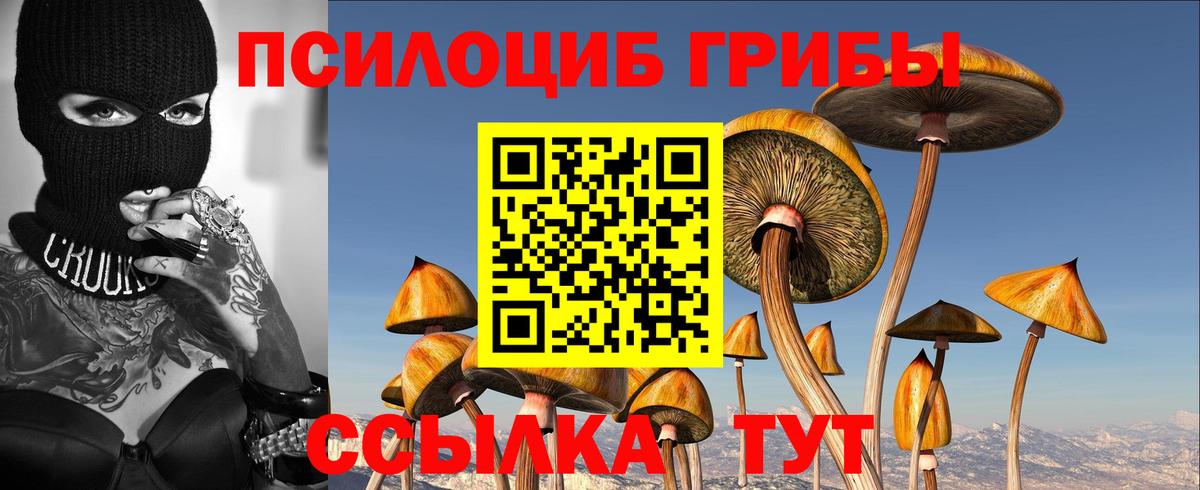 Псилоцибиновые грибы GOLDEN TEACHER  Вход с VPN  Коммунар  Псилоцибиновые грибы ЛСД 